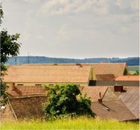 dorf