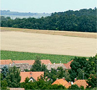 dorf