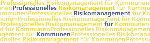 Professionelles Risikomanagement für Kommunen