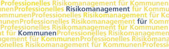 Professionelles Risikomanagement für Kommunen