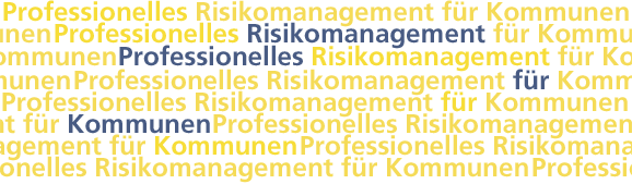 Professionelles Risikomanagement für Kommunen