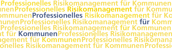 Professionelles Risikomanagement für Kommunen