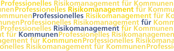 Professionelles Risikomanagement für Kommunen