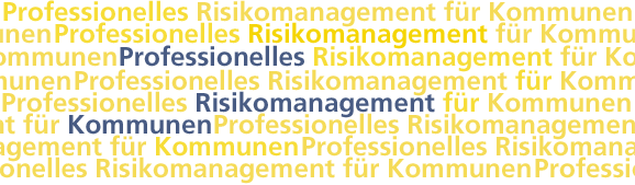 Professionelles Risikomanagement für Kommunen