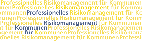 Professionelles Risikomanagement für Kommunen