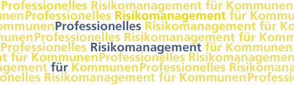 Professionelles Risikomanagement für Kommunen