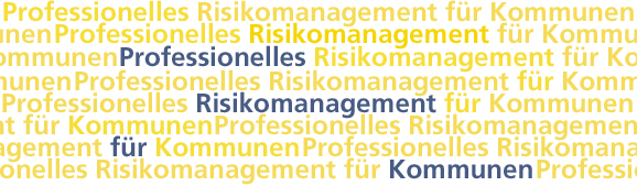 Professionelles Risikomanagement für Kommunen