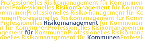 Professionelles Risikomanagement für Kommunen
