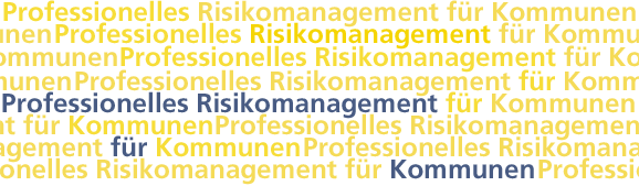 Professionelles Risikomanagement für Kommunen