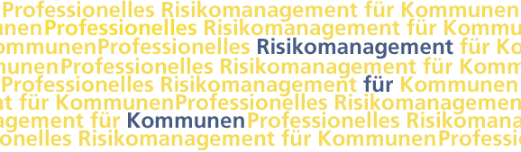 Professionelles Risikomanagement für Kommunen