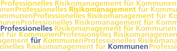 Professionelles Risikomanagement für Kommunen