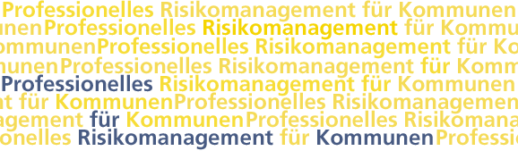 Professionelles Risikomanagement für Kommunen