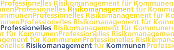 Professionelles Risikomanagement für Kommunen