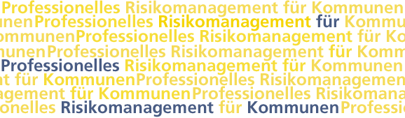 Professionelles Risikomanagement für Kommunen