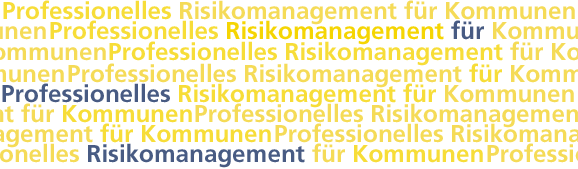 Professionelles Risikomanagement für Kommunen