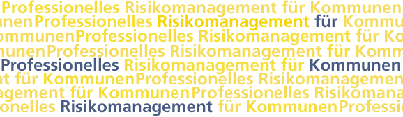 Professionelles Risikomanagement für Kommunen