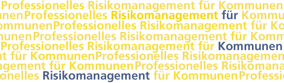 Professionelles Risikomanagement für Kommunen
