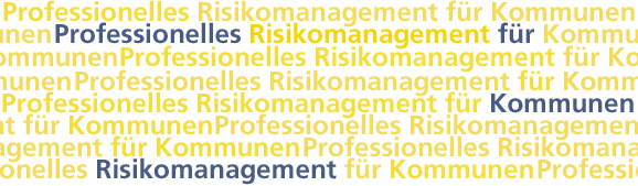 Professionelles Risikomanagement für Kommunen