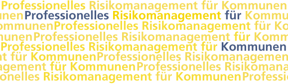 Professionelles Risikomanagement für Kommunen