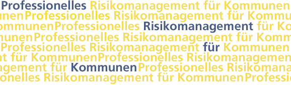 Professionelles Risikomanagement für Kommunen