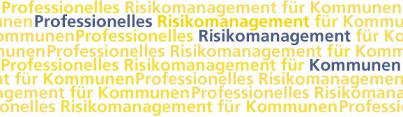 Professionelles Risikomanagement für Kommunen
