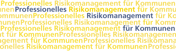 Professionelles Risikomanagement für Kommunen