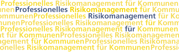 Professionelles Risikomanagement für Kommunen