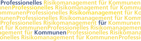 Professionelles Risikomanagement für Kommunen