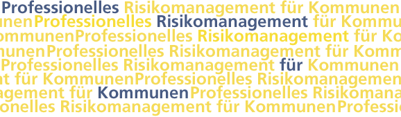 Professionelles Risikomanagement für Kommunen