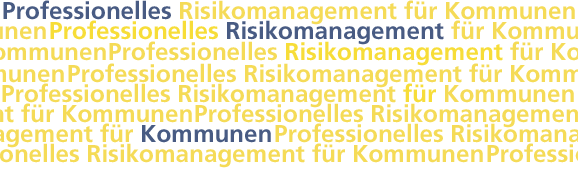 Professionelles Risikomanagement für Kommunen