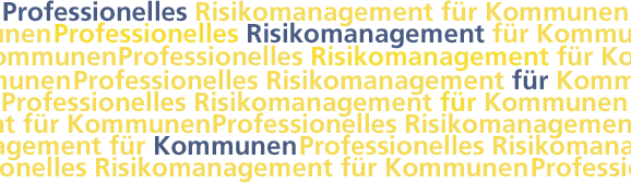 Professionelles Risikomanagement für Kommunen
