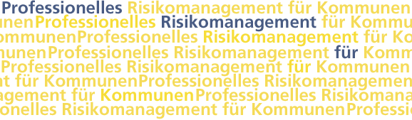 Professionelles Risikomanagement für Kommunen