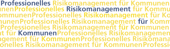 Professionelles Risikomanagement für Kommunen